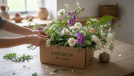 Unboxing Nature: What is Inside Carobeth in a Box?